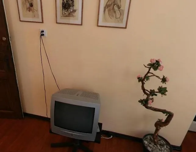 Rosa カルパッチ