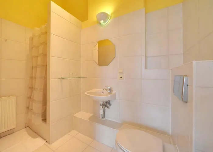 Rosa カルパッチ