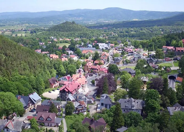 Rosa カルパッチ